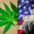 D2142-Mix-weed-US-work1iStock
