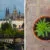 prag cannabis