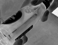 C09-Alme-langning1bw