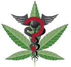 D85-CannabisMedicinLog