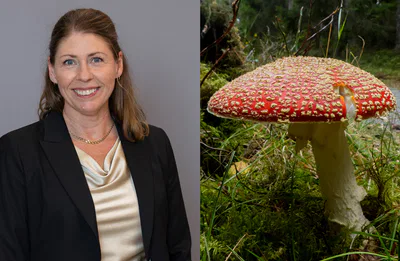 Mixbil Lann och flugsvamp