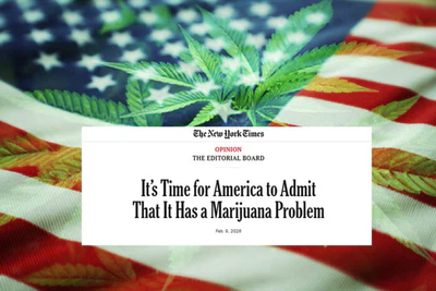 Rubrik New York Times ledare på USA-flagga